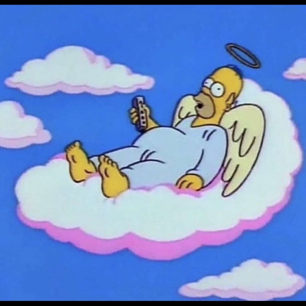 Meet your Posher, Sammy